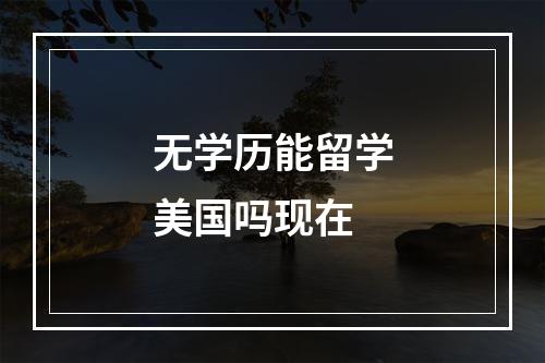 无学历能留学美国吗现在