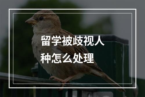 留学被歧视人种怎么处理