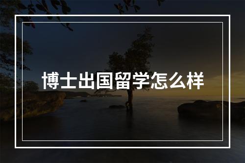 博士出国留学怎么样