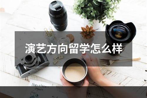 演艺方向留学怎么样