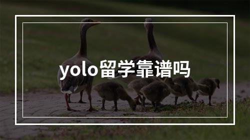 yolo留学靠谱吗