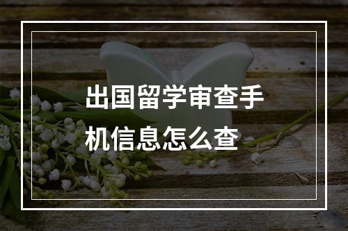 出国留学审查手机信息怎么查