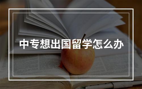 中专想出国留学怎么办