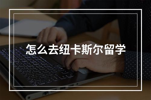 怎么去纽卡斯尔留学