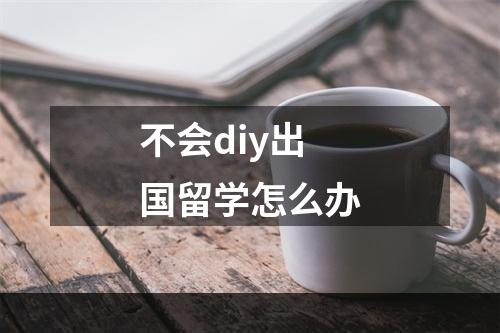 不会diy出国留学怎么办