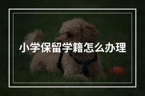 小学保留学籍怎么办理