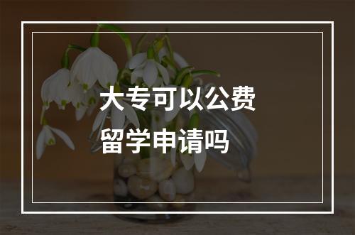 大专可以公费留学申请吗