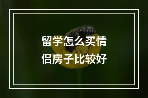 留学怎么买情侣房子比较好