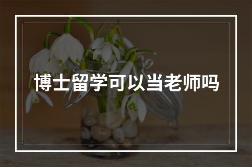 博士留学可以当老师吗