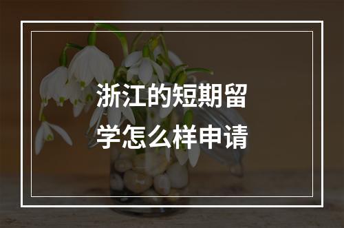 浙江的短期留学怎么样申请