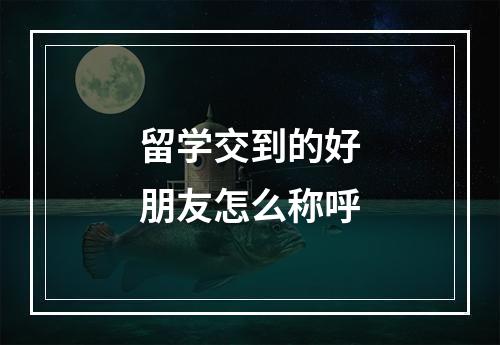 留学交到的好朋友怎么称呼