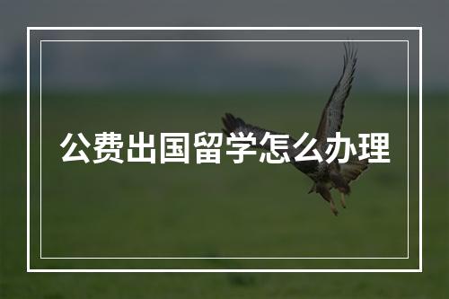 公费出国留学怎么办理