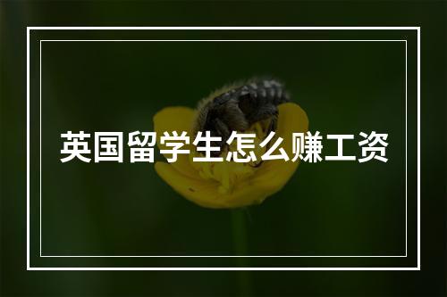 英国留学生怎么赚工资