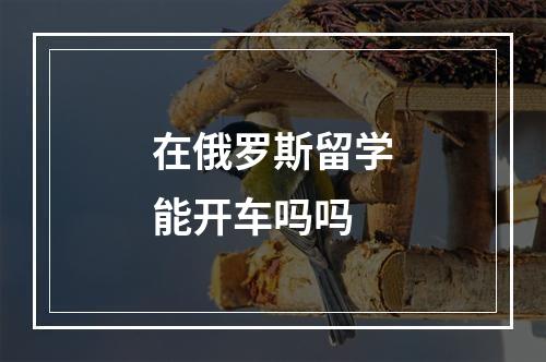 在俄罗斯留学能开车吗吗