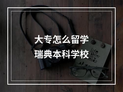 大专怎么留学瑞典本科学校