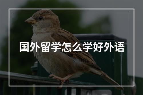 国外留学怎么学好外语