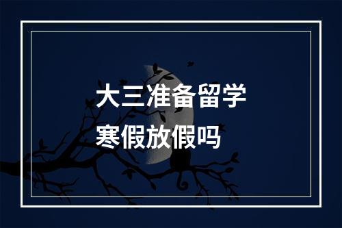 大三准备留学寒假放假吗