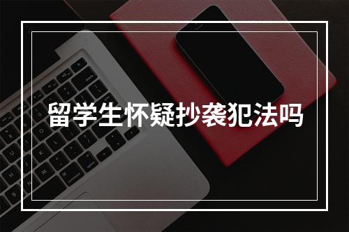 留学生怀疑抄袭犯法吗