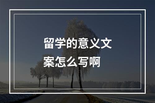 留学的意义文案怎么写啊