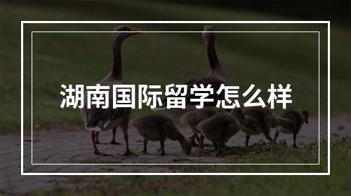 湖南国际留学怎么样