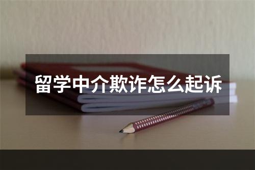 留学中介欺诈怎么起诉