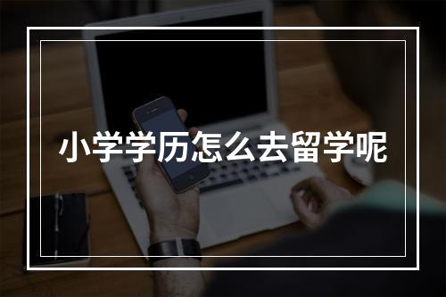 小学学历怎么去留学呢