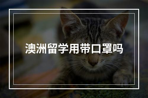 澳洲留学用带口罩吗