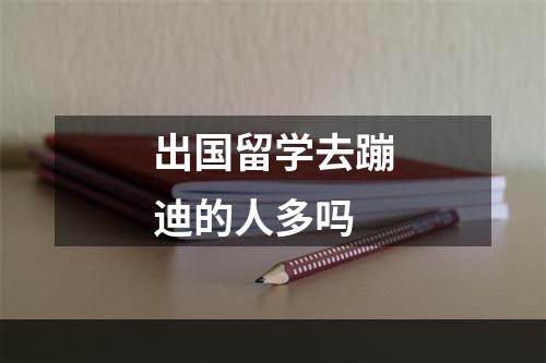 出国留学去蹦迪的人多吗