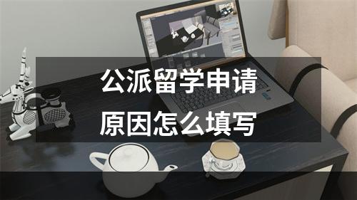 公派留学申请原因怎么填写