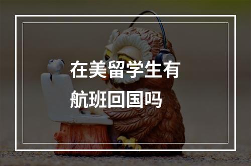 在美留学生有航班回国吗