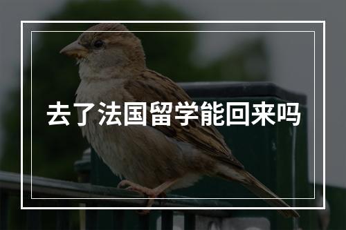 去了法国留学能回来吗