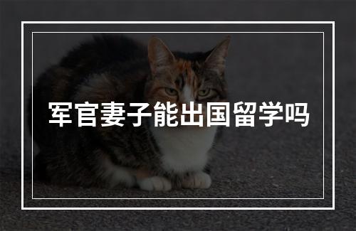 军官妻子能出国留学吗