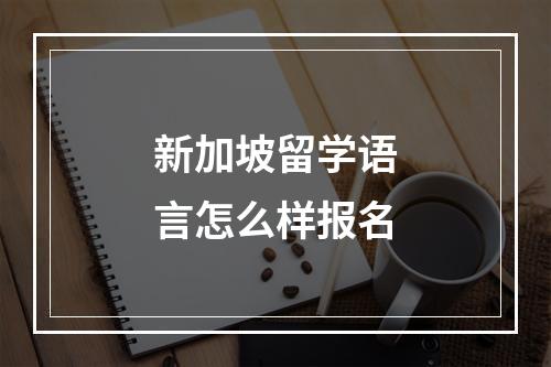 新加坡留学语言怎么样报名