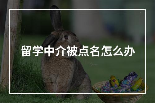 留学中介被点名怎么办