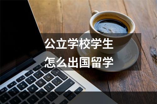 公立学校学生怎么出国留学