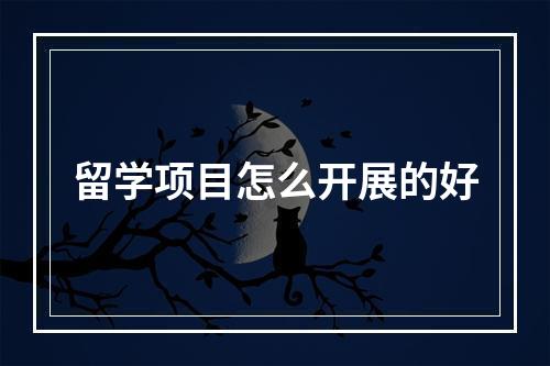 留学项目怎么开展的好