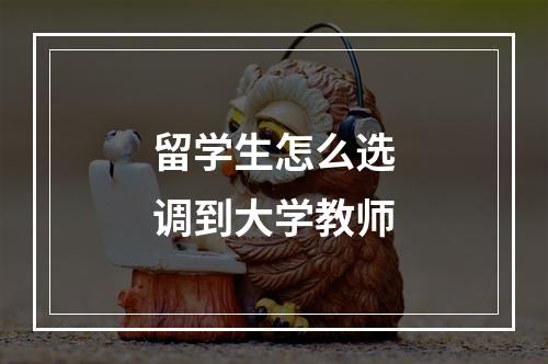 留学生怎么选调到大学教师