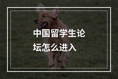 中国留学生论坛怎么进入