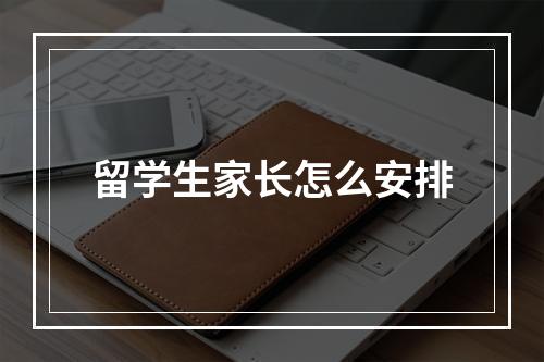 留学生家长怎么安排