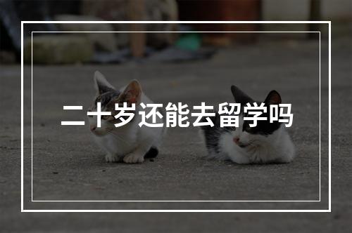 二十岁还能去留学吗