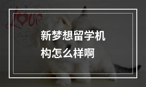 新梦想留学机构怎么样啊