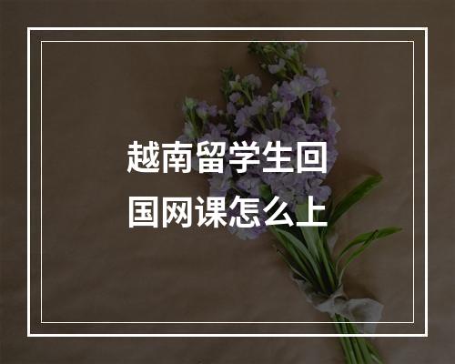 越南留学生回国网课怎么上