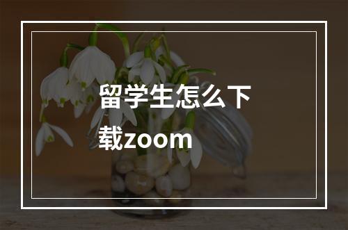 留学生怎么下载zoom