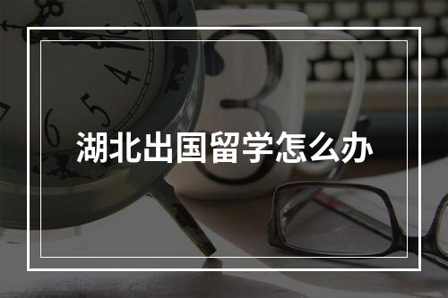 湖北出国留学怎么办