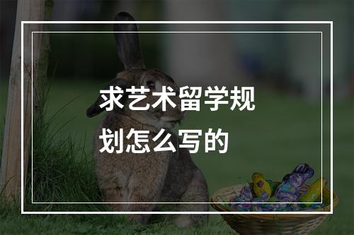 求艺术留学规划怎么写的