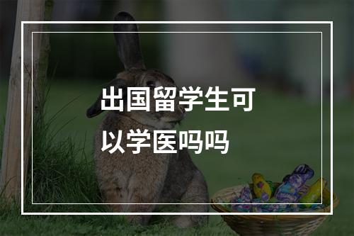 出国留学生可以学医吗吗