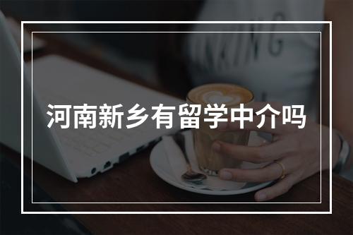 河南新乡有留学中介吗