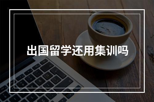 出国留学还用集训吗