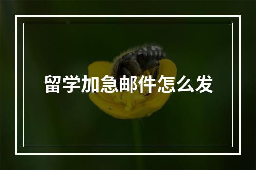 留学加急邮件怎么发