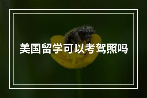 美国留学可以考驾照吗